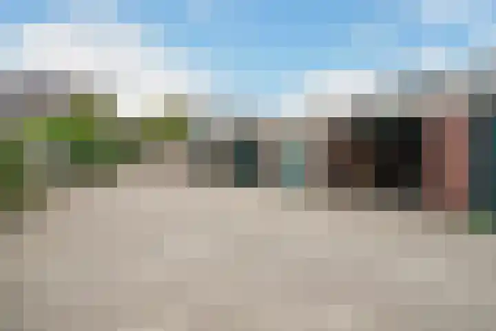De Meibloem 57 Wateringen thumbnail 77