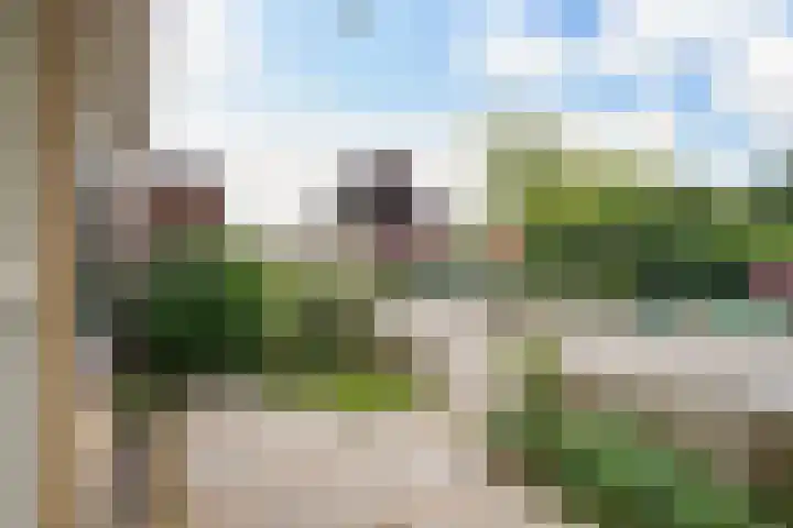 De Meibloem 57 Wateringen thumbnail 85