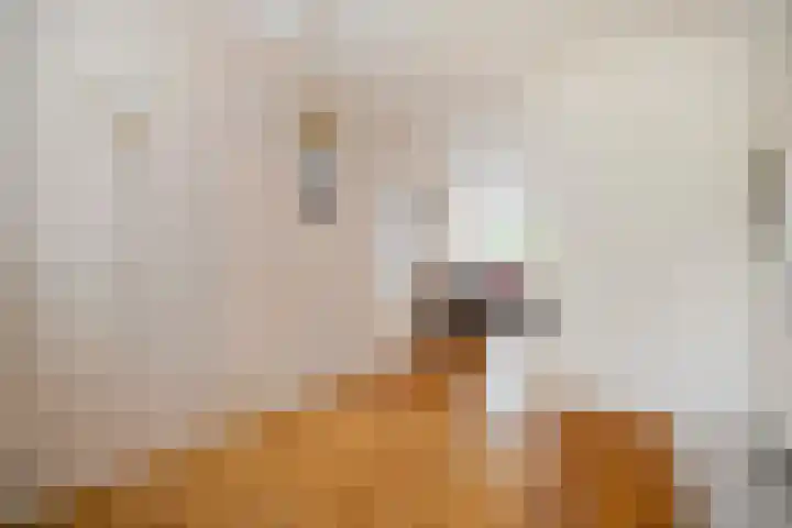 de Meibree 2 Raalte thumbnail 13