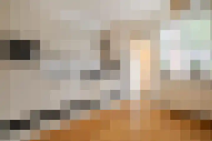 de Meibree 2 Raalte thumbnail 14