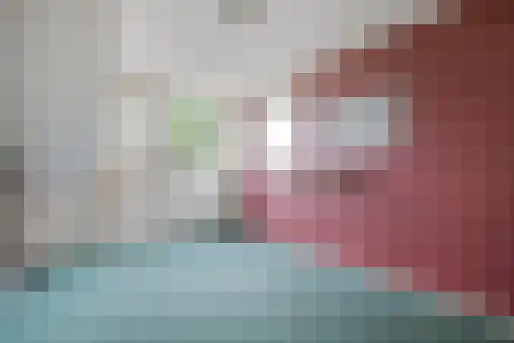 de Meibree 2 Raalte thumbnail 26
