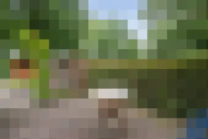 de Meibree 2 Raalte thumbnail 37