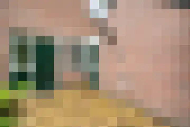 de Meibree 2 Raalte thumbnail 39