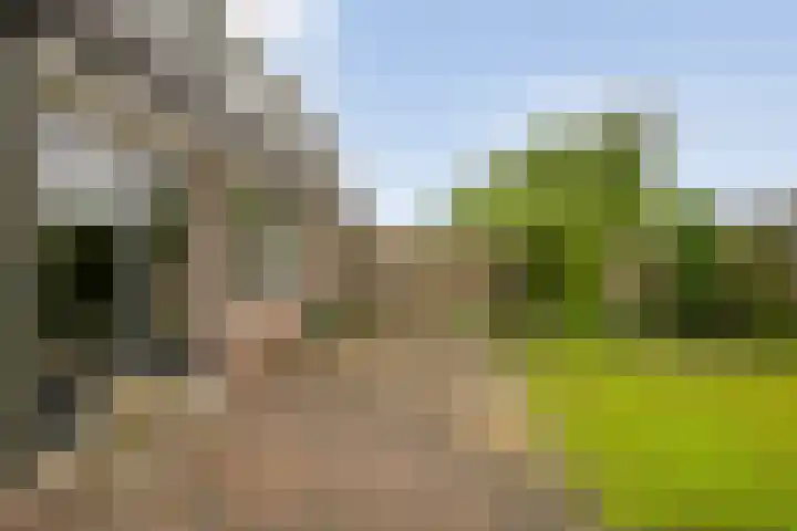 de Meibree 2 Raalte thumbnail 42
