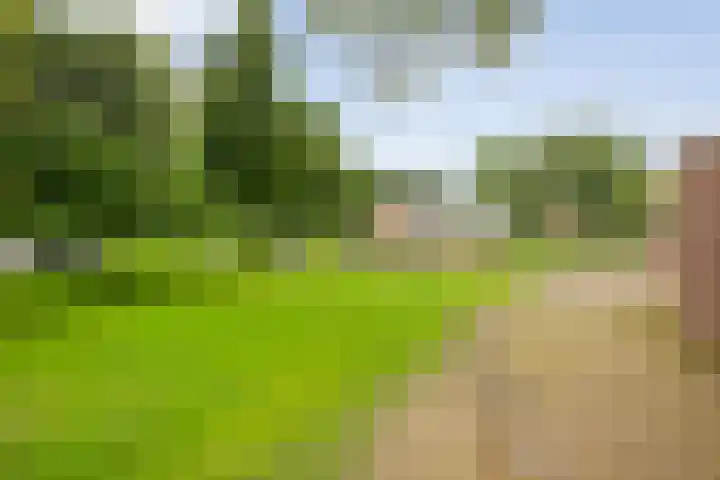 de Meibree 2 Raalte thumbnail 43