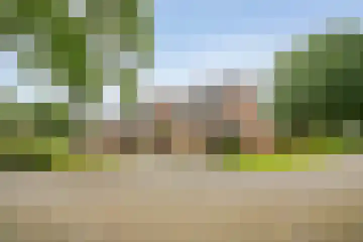 de Meibree 2 Raalte thumbnail 5