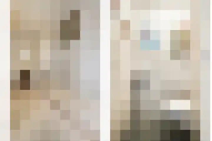 de Meibree 2 Raalte thumbnail 8