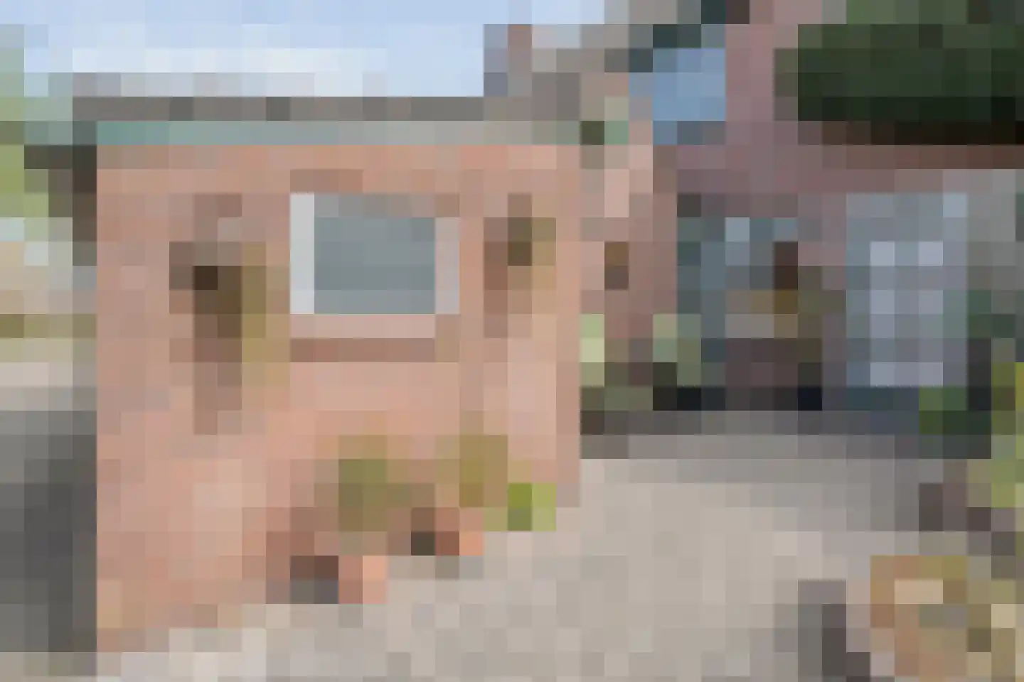 de Meibree 8 Raalte thumbnail 10