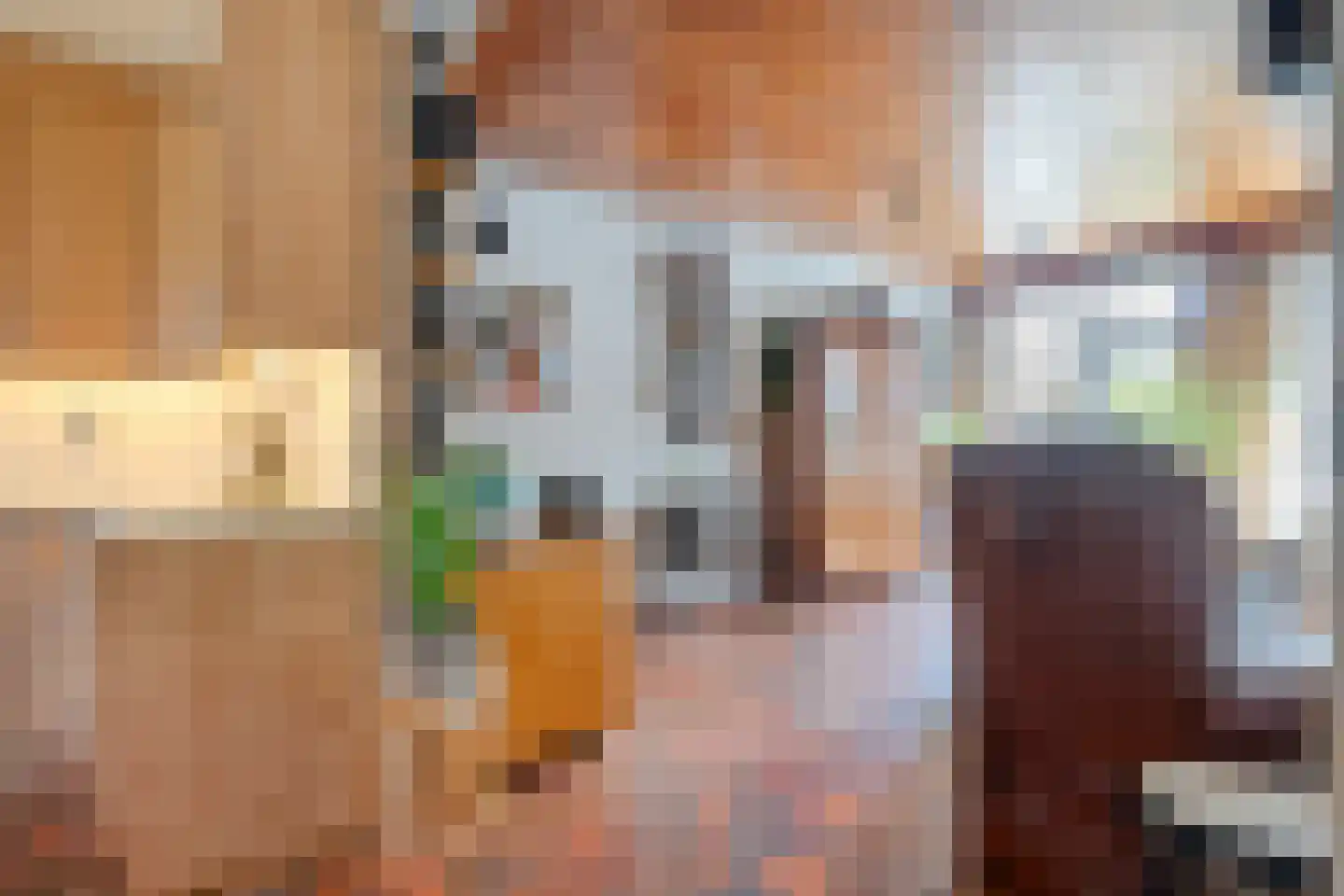 de Meibree 8 Raalte thumbnail 15