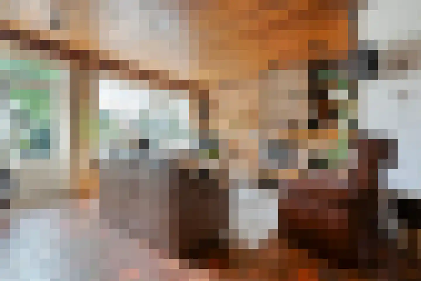 de Meibree 8 Raalte thumbnail 16