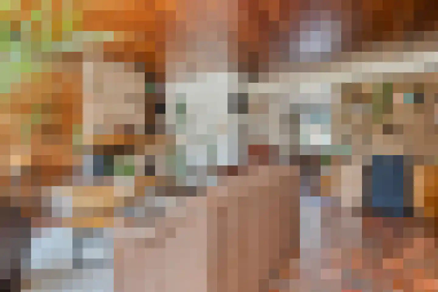 de Meibree 8 Raalte thumbnail 17