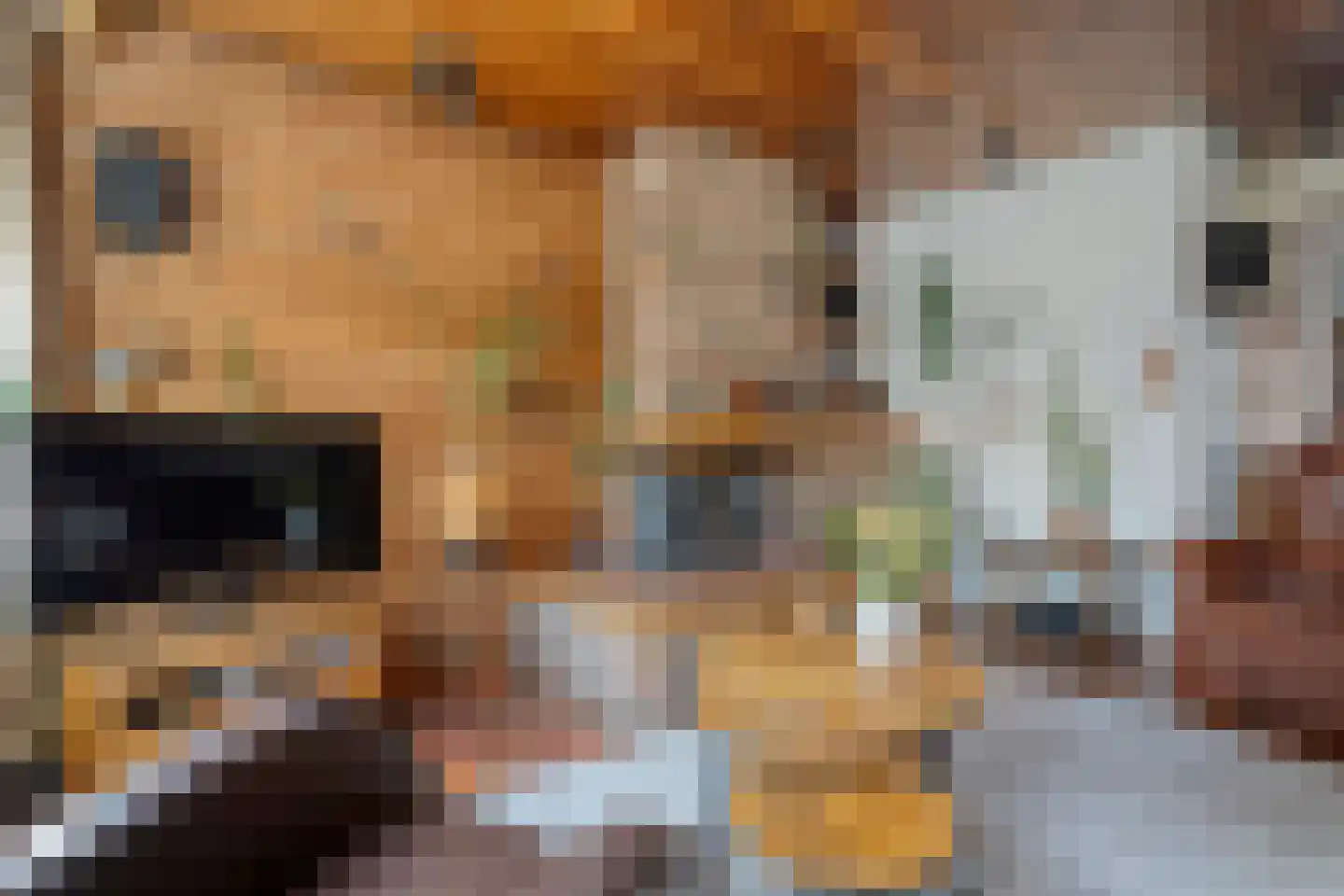 de Meibree 8 Raalte thumbnail 18