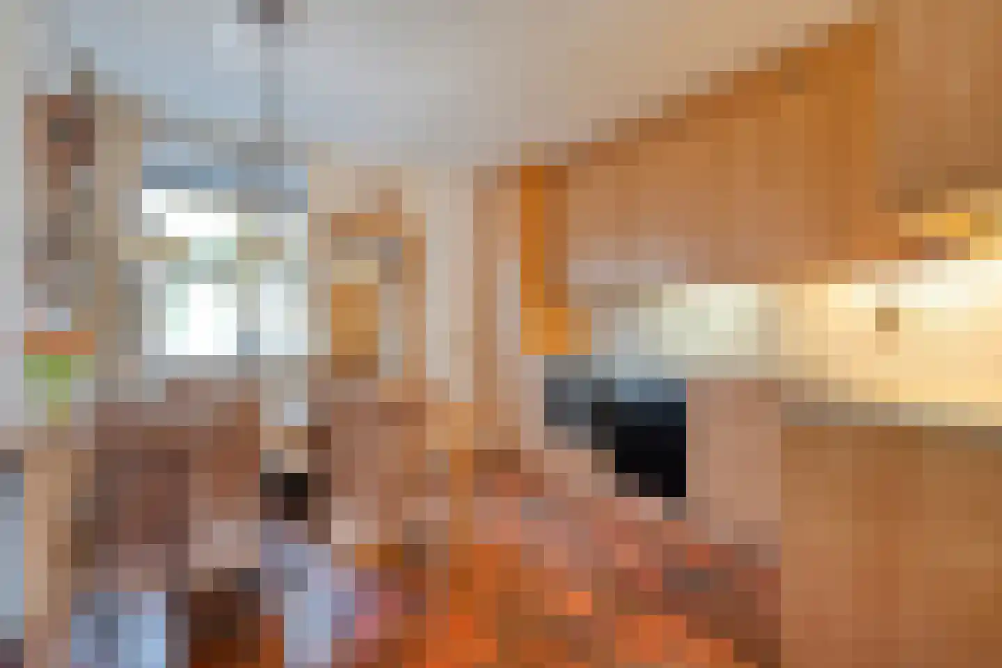 de Meibree 8 Raalte thumbnail 22