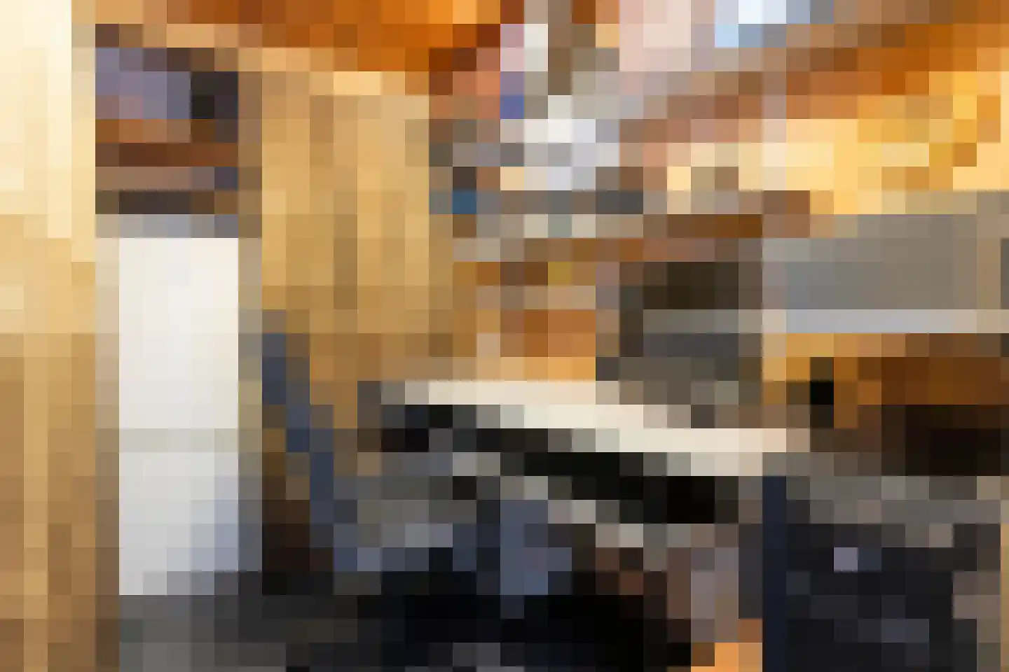 de Meibree 8 Raalte thumbnail 28