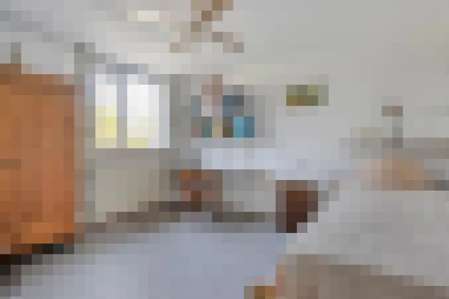 de Meibree 8 Raalte thumbnail 35