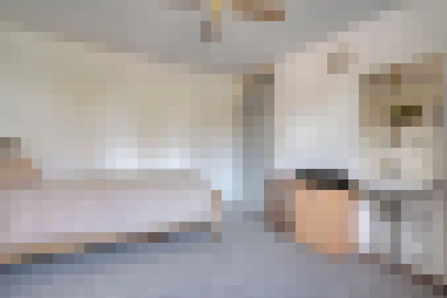 de Meibree 8 Raalte thumbnail 36