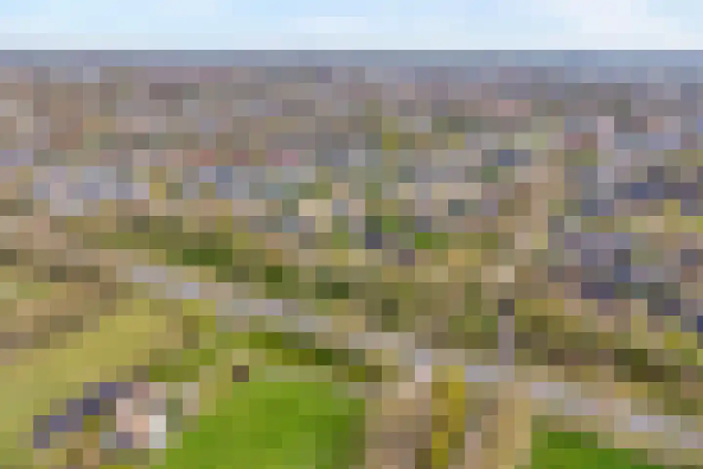 de Meibree 8 Raalte thumbnail 4