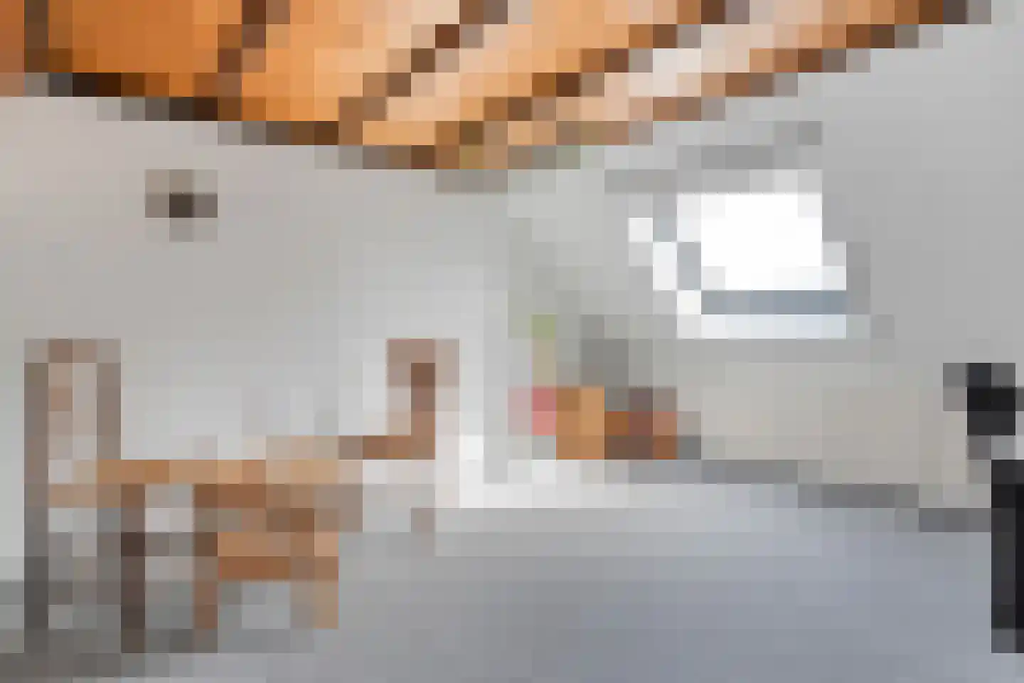 de Meibree 8 Raalte thumbnail 43