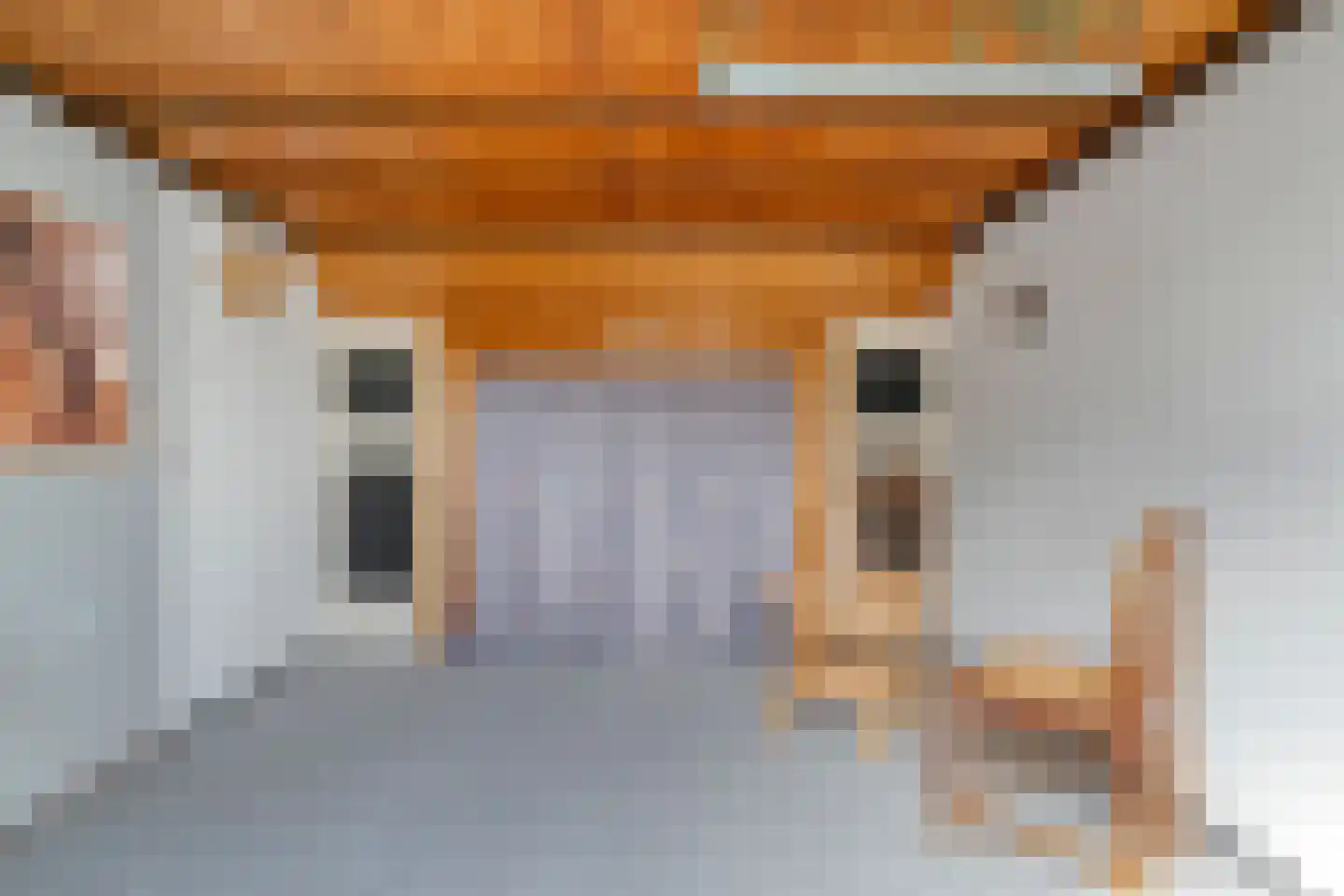 de Meibree 8 Raalte thumbnail 44