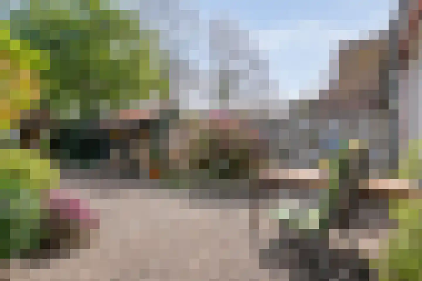 de Meibree 8 Raalte thumbnail 45