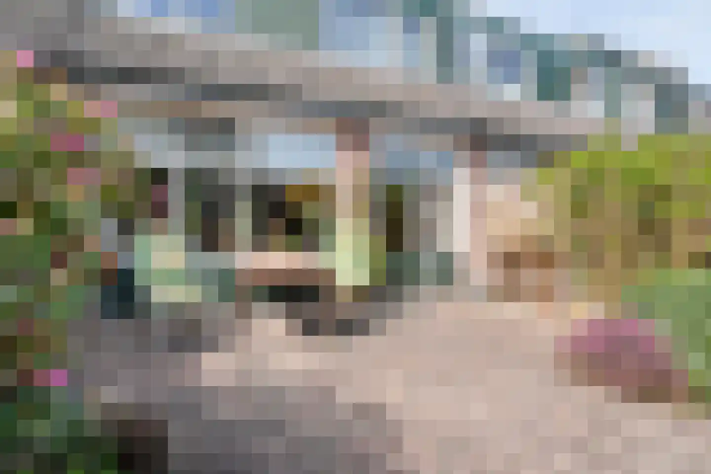 de Meibree 8 Raalte thumbnail 46
