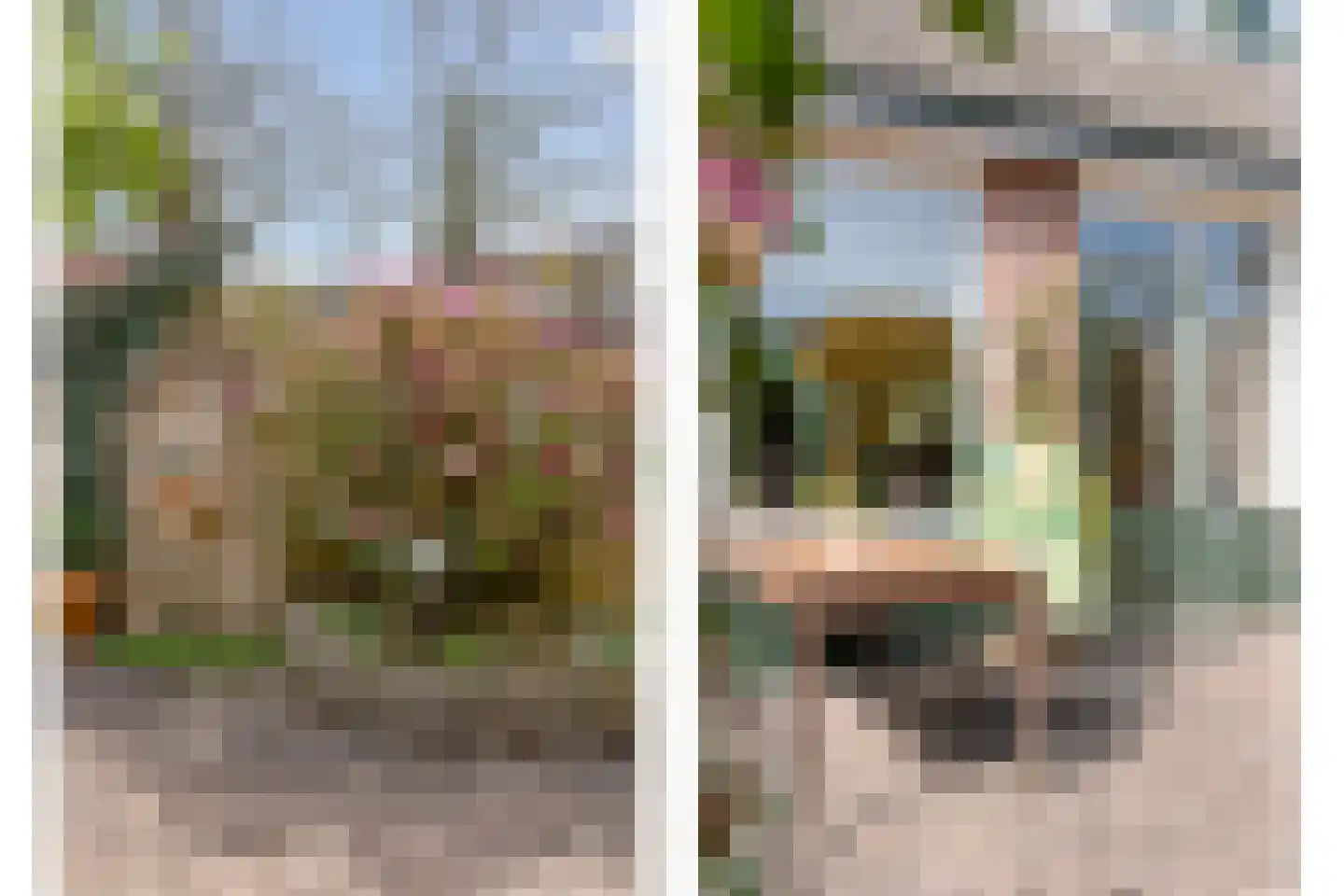 de Meibree 8 Raalte thumbnail 47