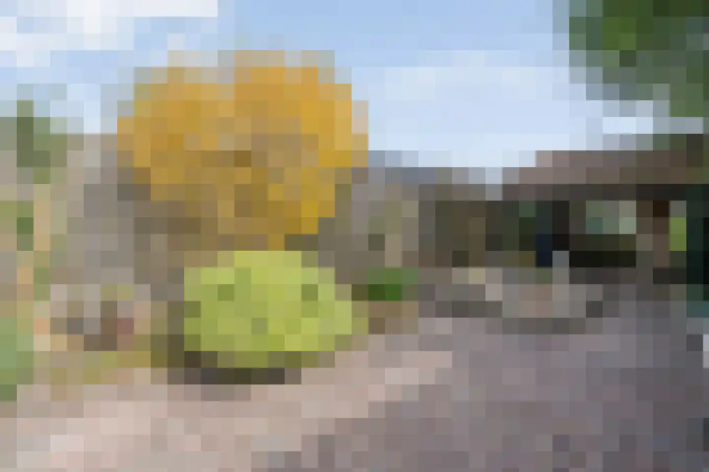 de Meibree 8 Raalte thumbnail 48