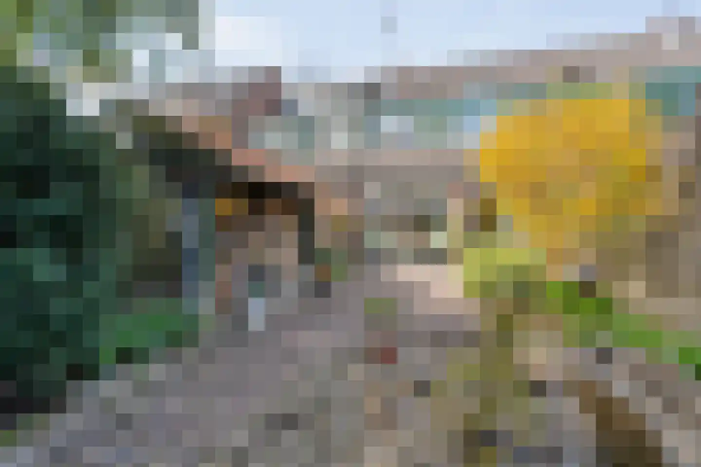 de Meibree 8 Raalte thumbnail 49