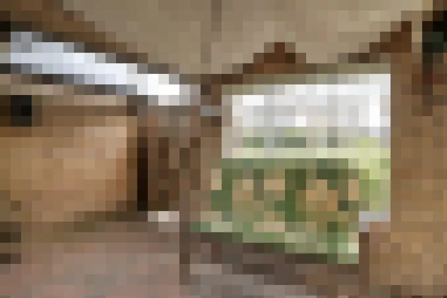 de Meibree 8 Raalte thumbnail 52