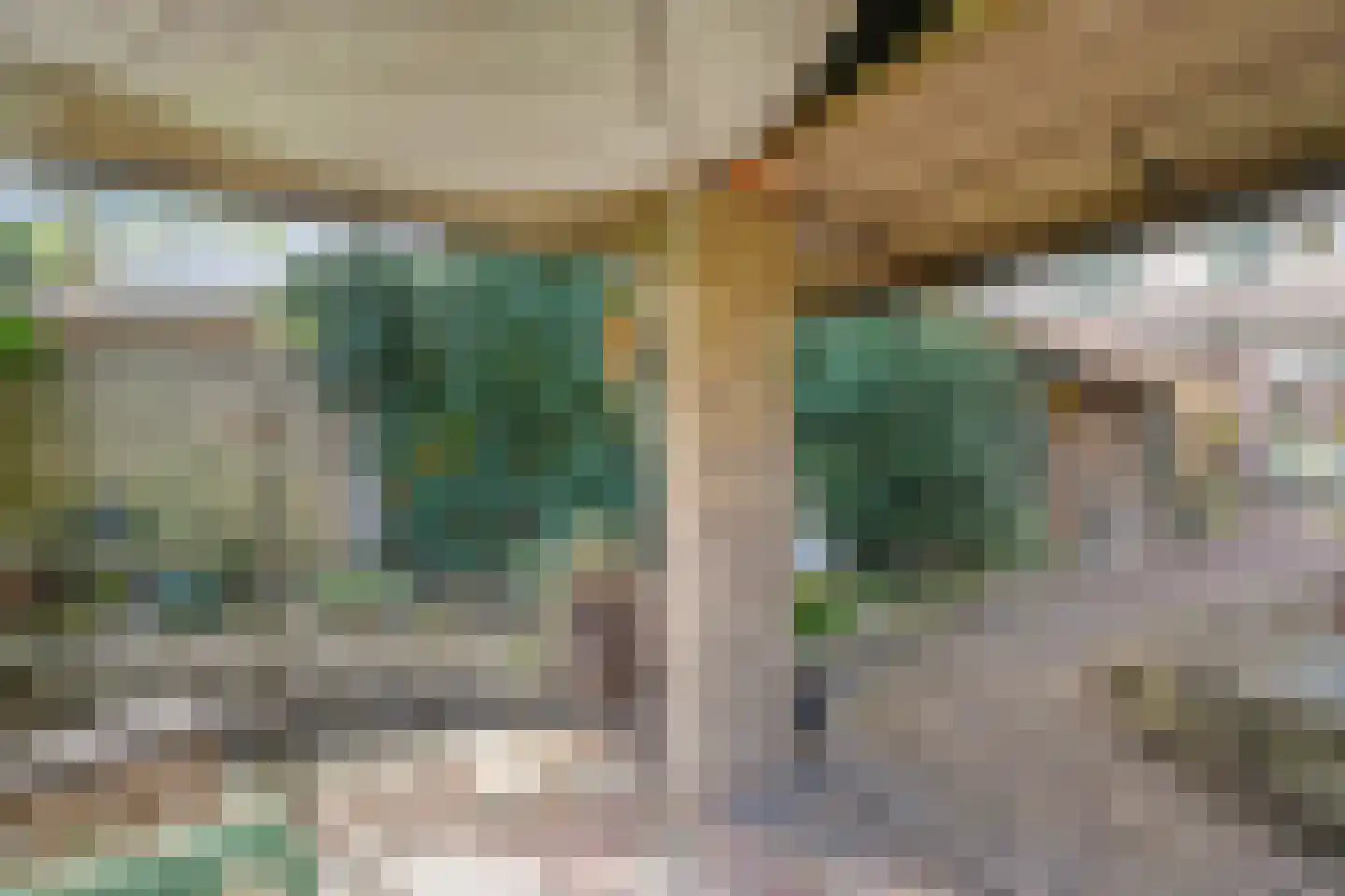 de Meibree 8 Raalte thumbnail 53