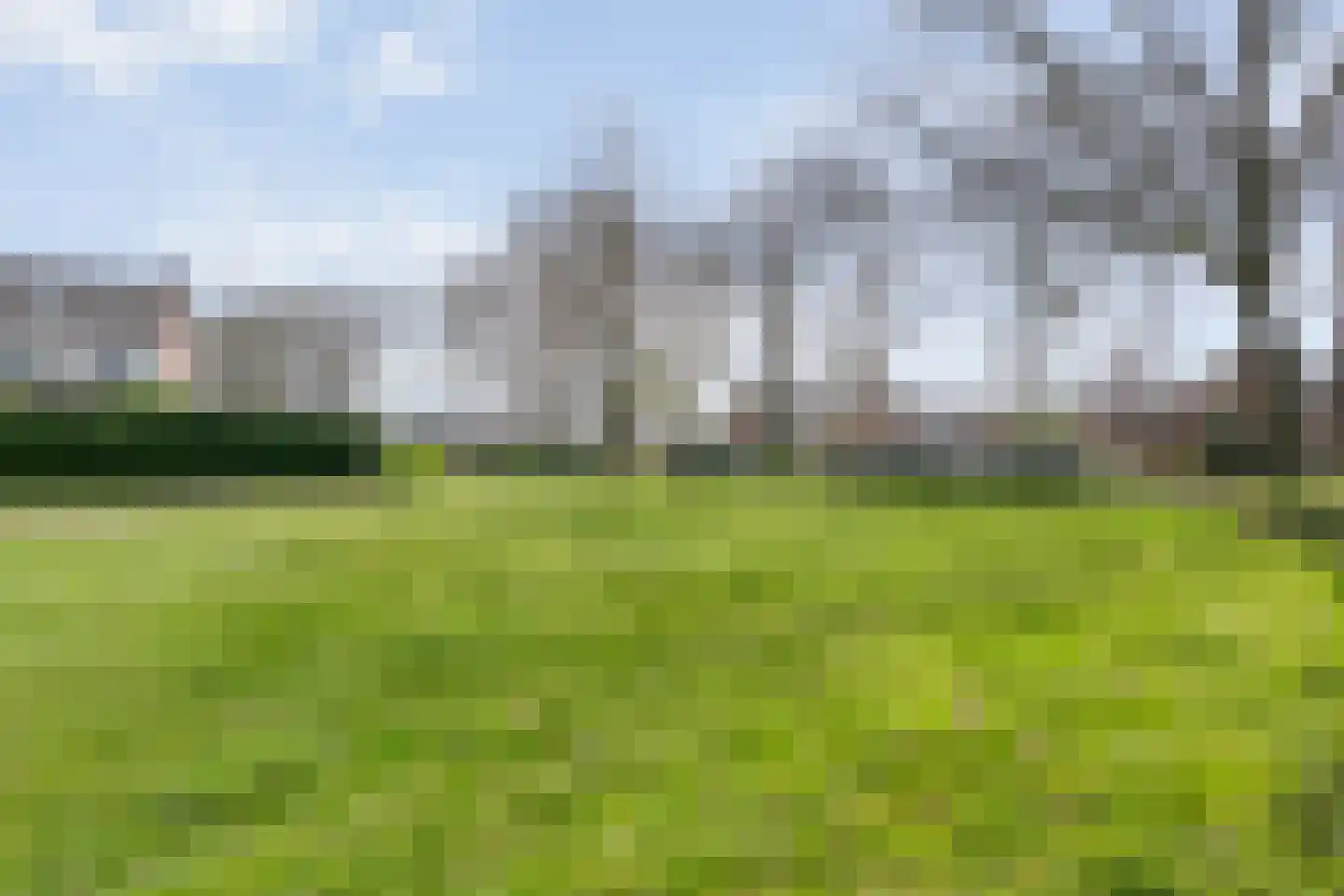 de Meibree 8 Raalte thumbnail 54