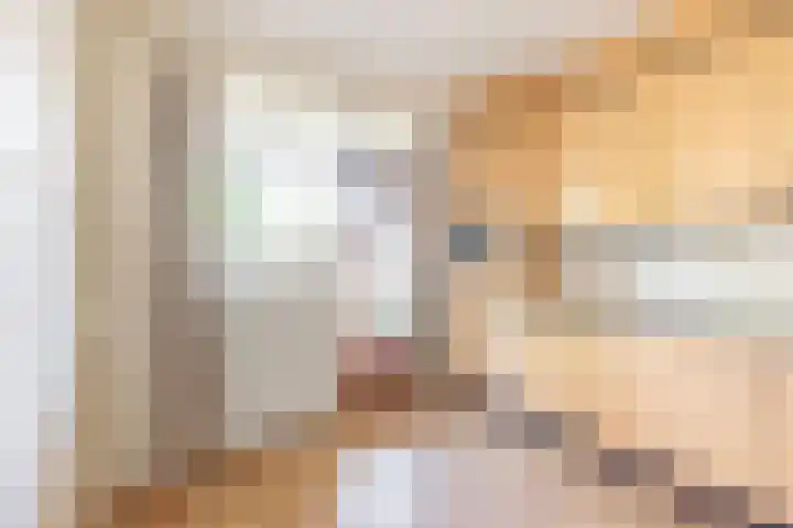 De Meibrink 22 Dinxperlo thumbnail 15