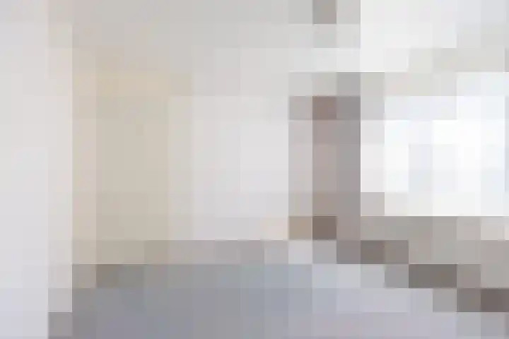 De Meibrink 22 Dinxperlo thumbnail 21