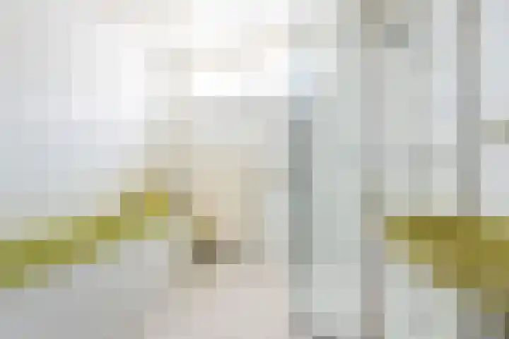 De Meibrink 22 Dinxperlo thumbnail 26