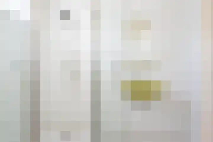 De Meibrink 22 Dinxperlo thumbnail 27