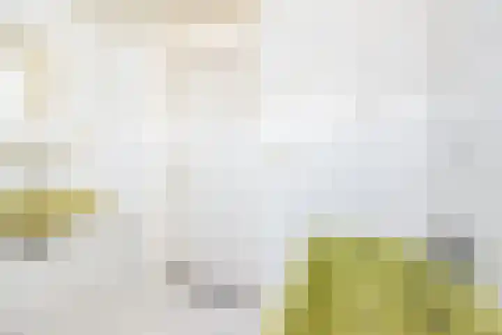 De Meibrink 22 Dinxperlo thumbnail 29