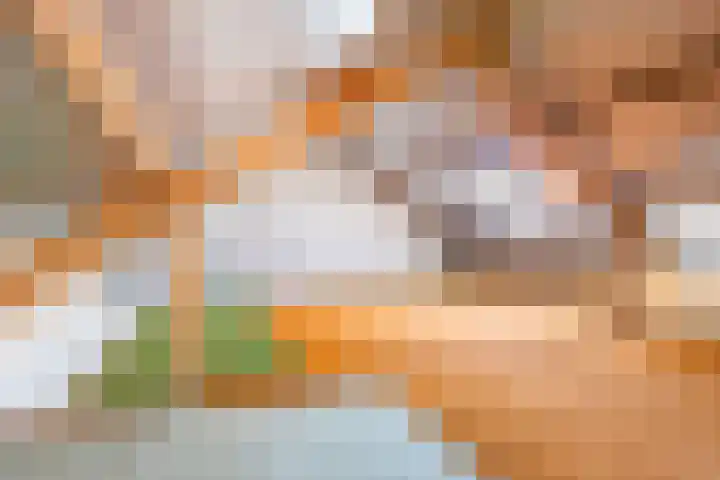 De Meibrink 22 Dinxperlo thumbnail 31