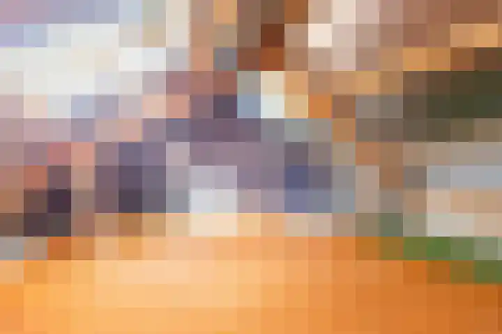 De Meibrink 22 Dinxperlo thumbnail 32