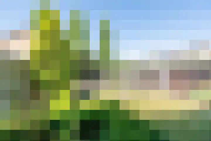 De Meibrink 22 Dinxperlo thumbnail 33