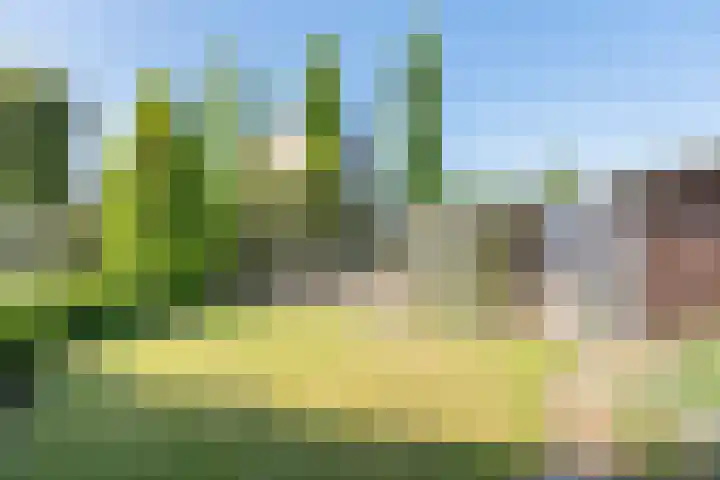 De Meibrink 22 Dinxperlo thumbnail 34