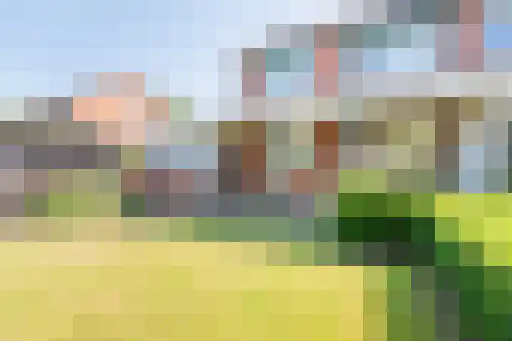 De Meibrink 22 Dinxperlo thumbnail 35