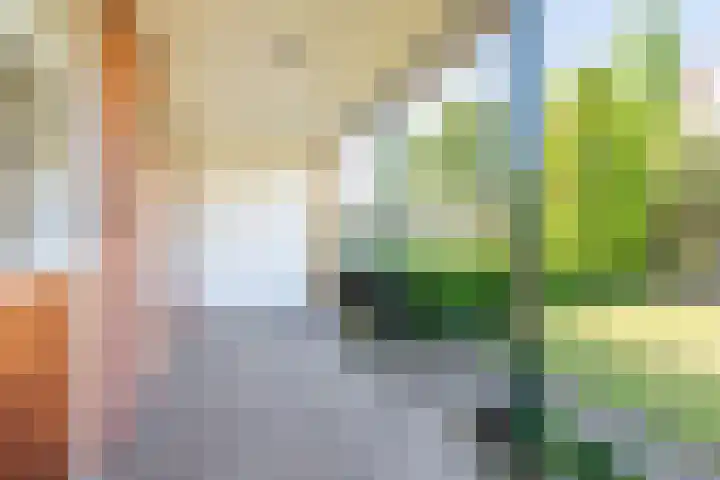 De Meibrink 22 Dinxperlo thumbnail 38