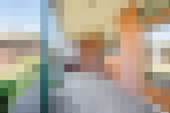 De Meibrink 22 Dinxperlo thumbnail 39