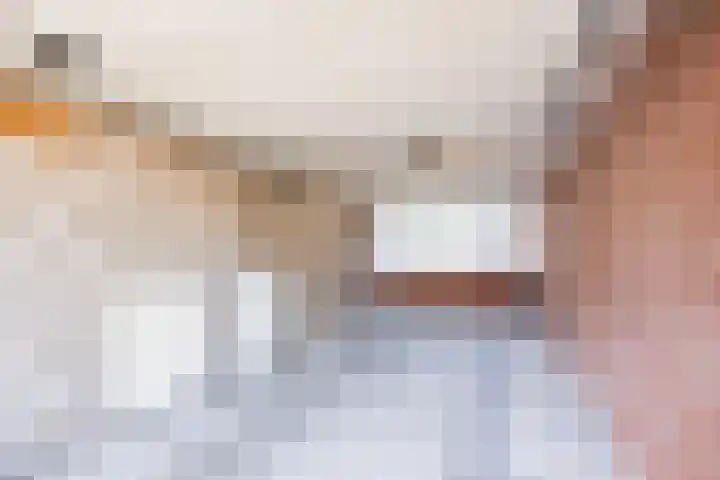 De Meibrink 22 Dinxperlo thumbnail 41