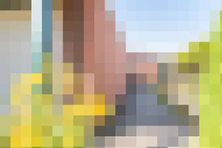 De Meibrink 22 Dinxperlo thumbnail 45