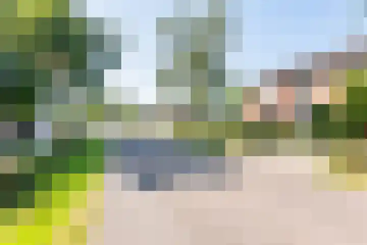 De Meibrink 22 Dinxperlo thumbnail 46