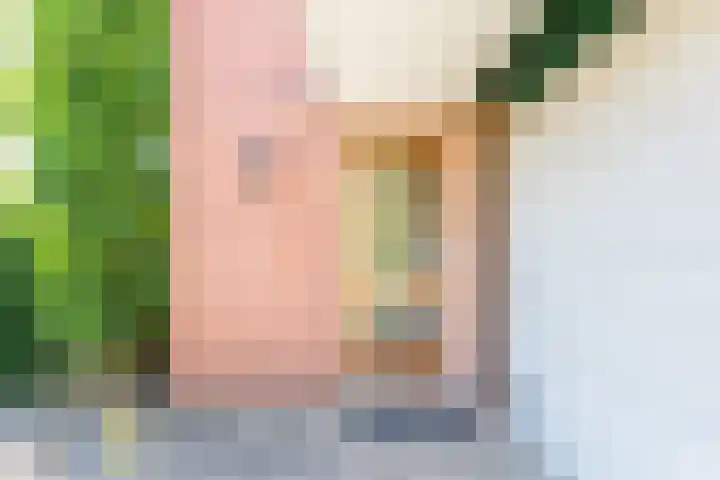 De Meibrink 22 Dinxperlo thumbnail 7