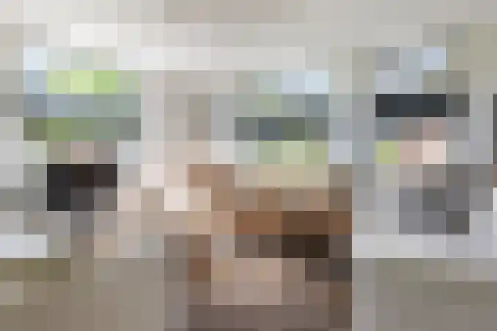 De Meidoorn 16 Bedum thumbnail 12