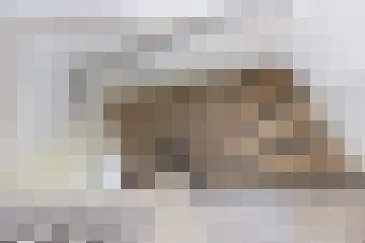 De Meidoorn 16 Bedum thumbnail 26