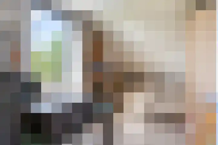 De Meidoorn 16 Bedum thumbnail 30